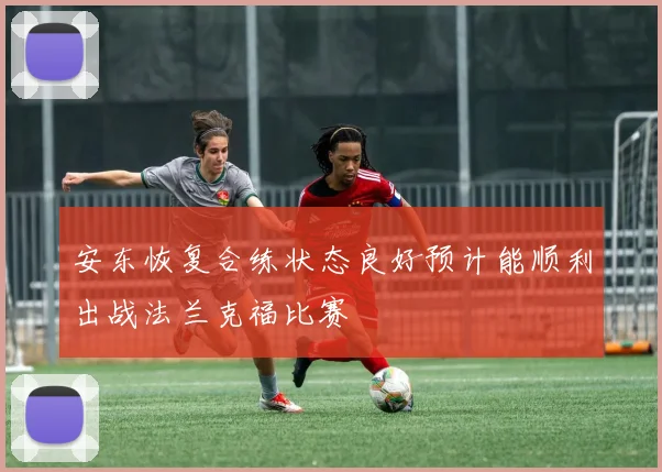 安东恢复合练状态良好预计能顺利出战法兰克福比赛