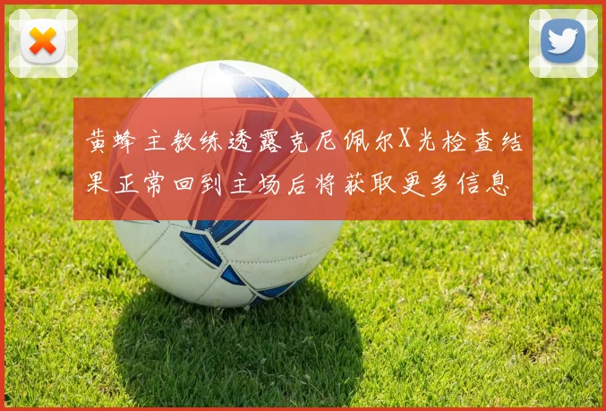 黄蜂主教练透露克尼佩尔X光检查结果正常回到主场后将获取更多信息
